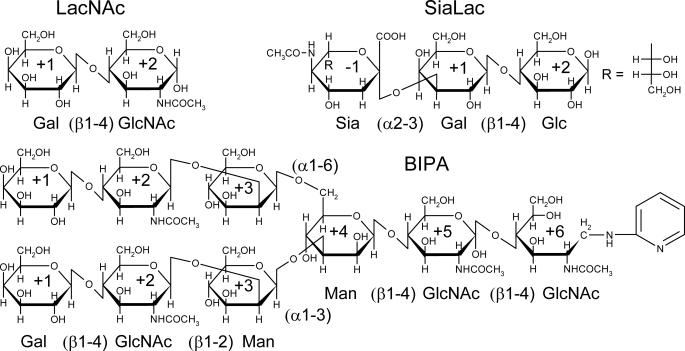 FIGURE 1.