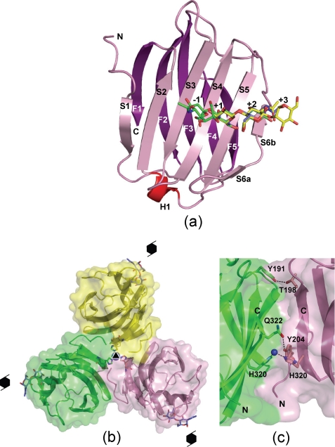 FIGURE 2.