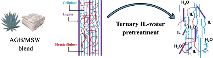Graphical abstract