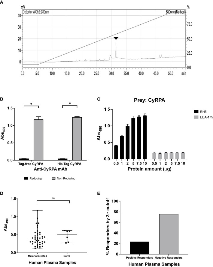 Figure 4