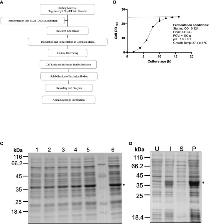 Figure 2