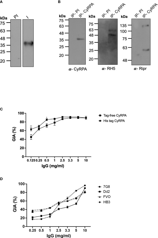 Figure 5