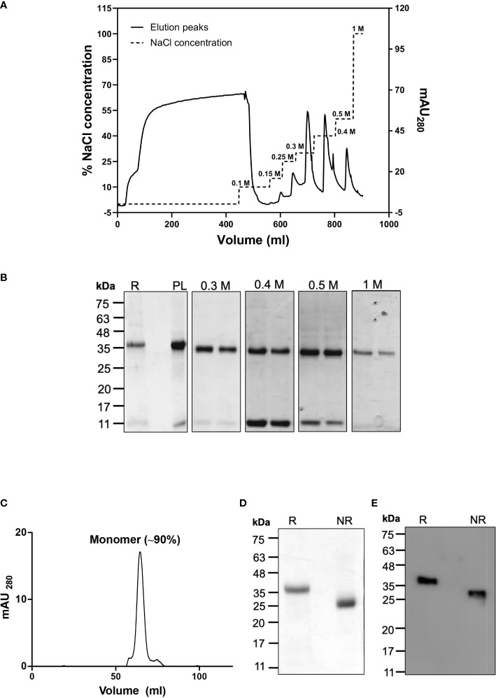 Figure 3