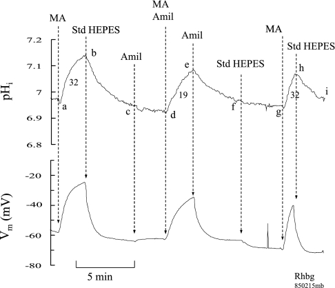 Fig. 9.