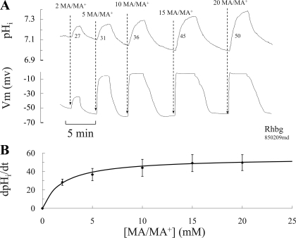 Fig. 7.