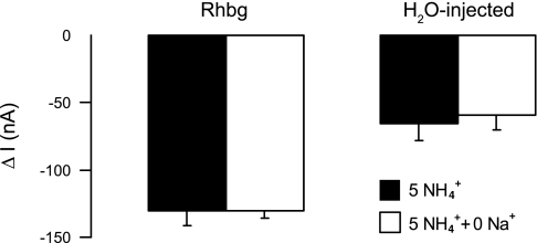 Fig. 14.