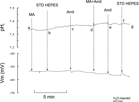 Fig. 10.