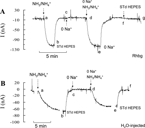 Fig. 13.