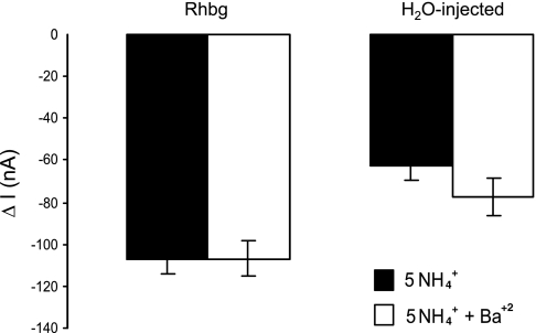 Fig. 12.