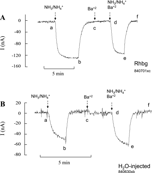 Fig. 11.