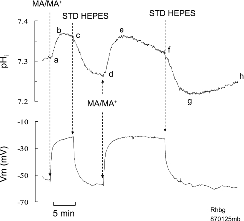 Fig. 5.