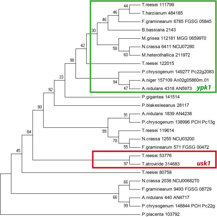 FIGURE 1