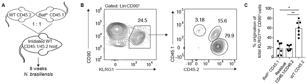 Figure 4: