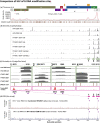 Extended Data Fig. 4