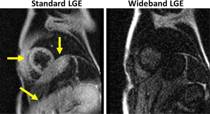 Supplementary Figure 1