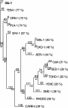 FIG. 2.