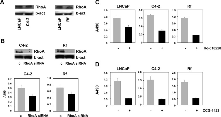 Fig. 11.