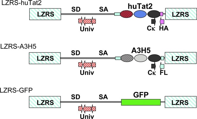 FIG. 1.