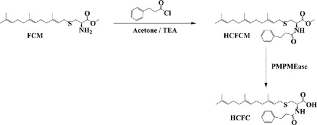 SCHEME 1