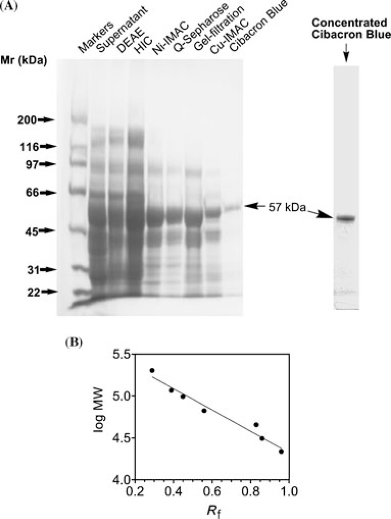 FIGURE 3