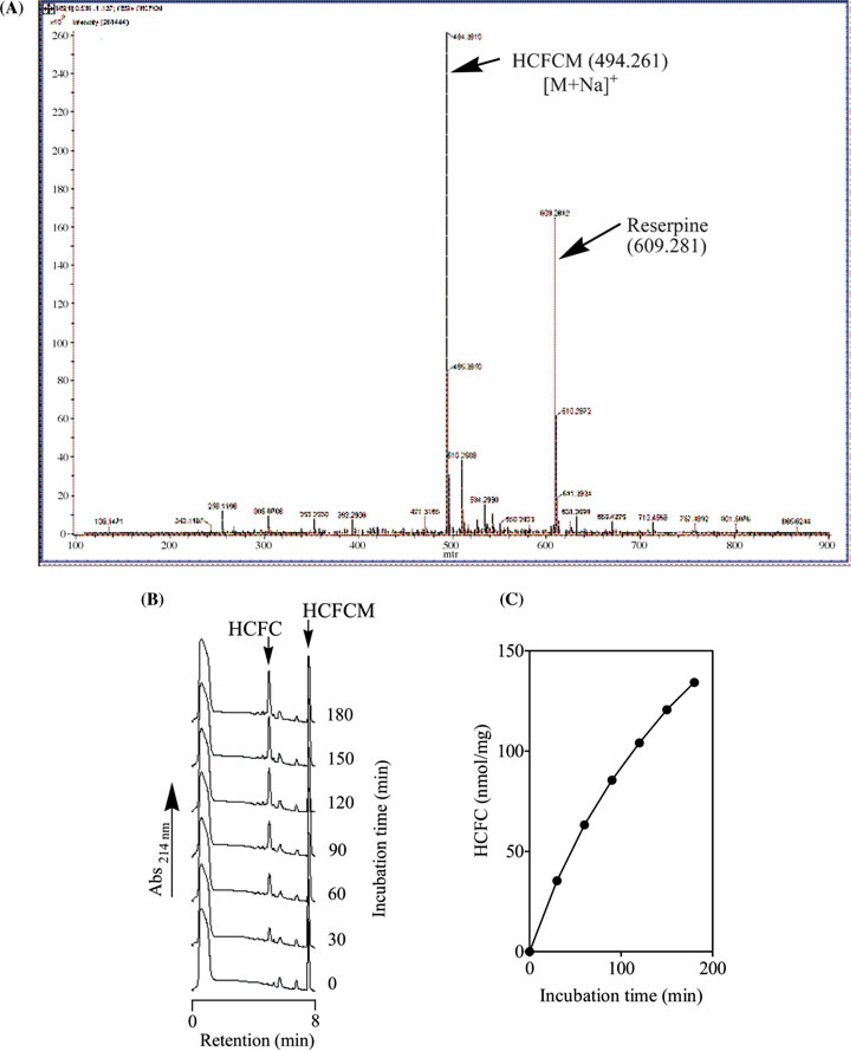 FIGURE 1