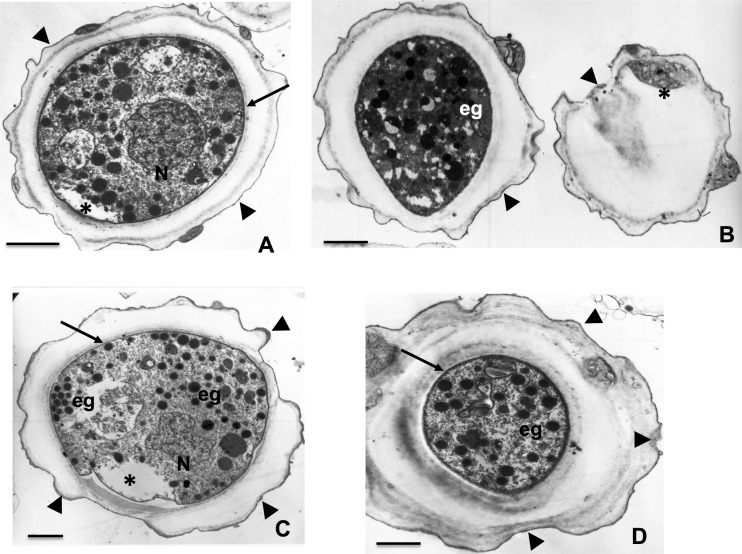 FIG 5