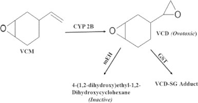 Scheme 1