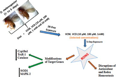 Scheme 3