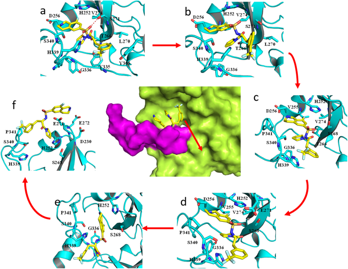 Figure 10