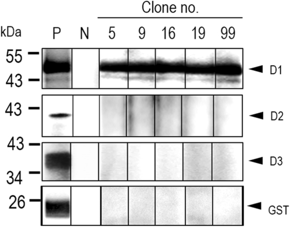 Figure 10