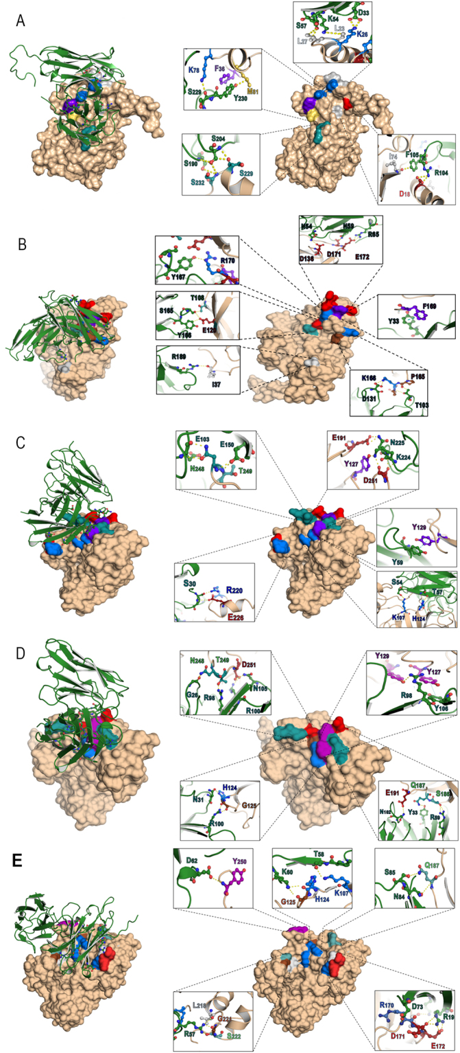 Figure 9