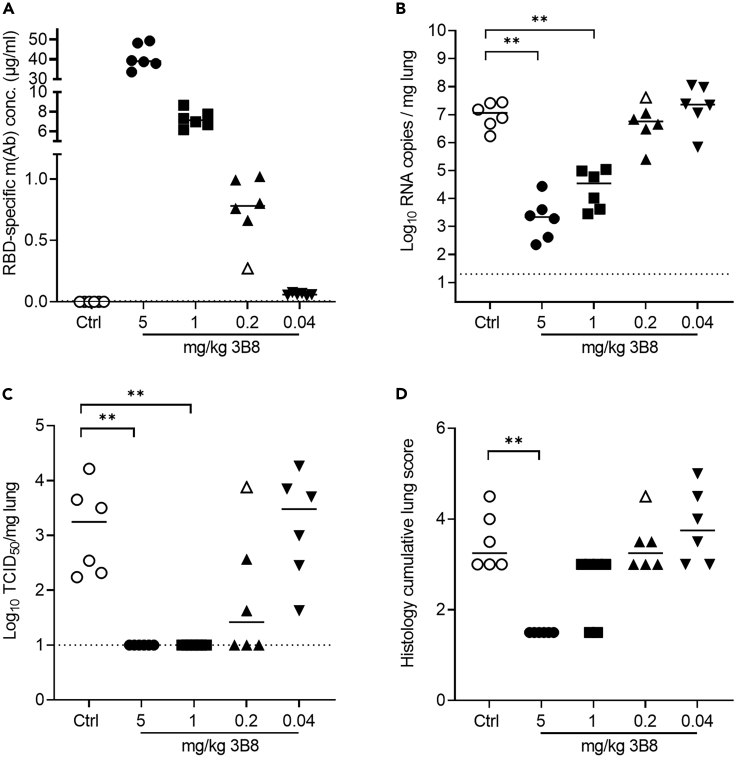 Figure 6