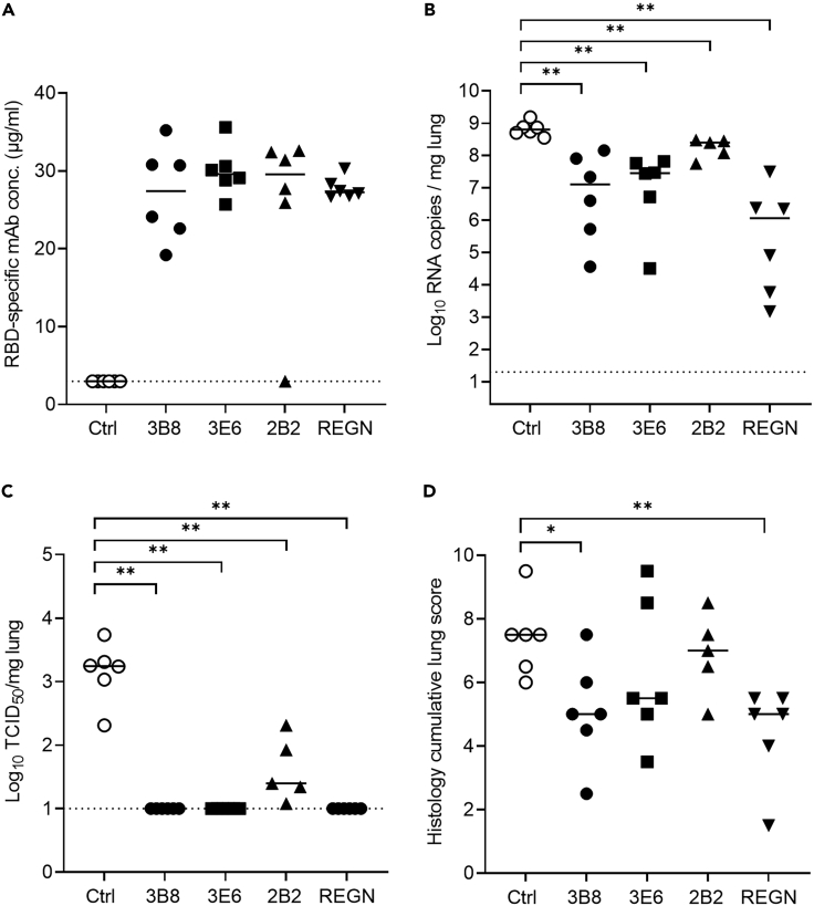 Figure 5