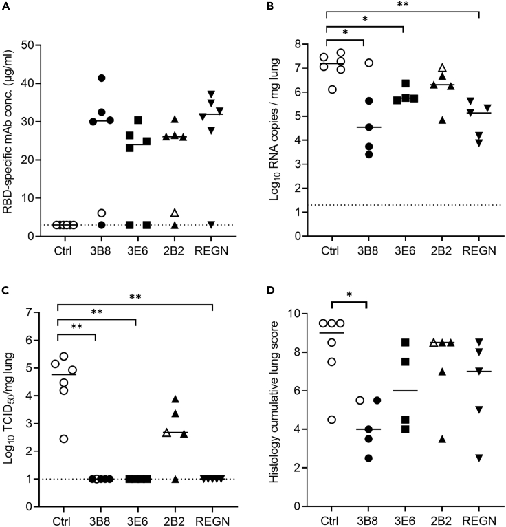 Figure 4