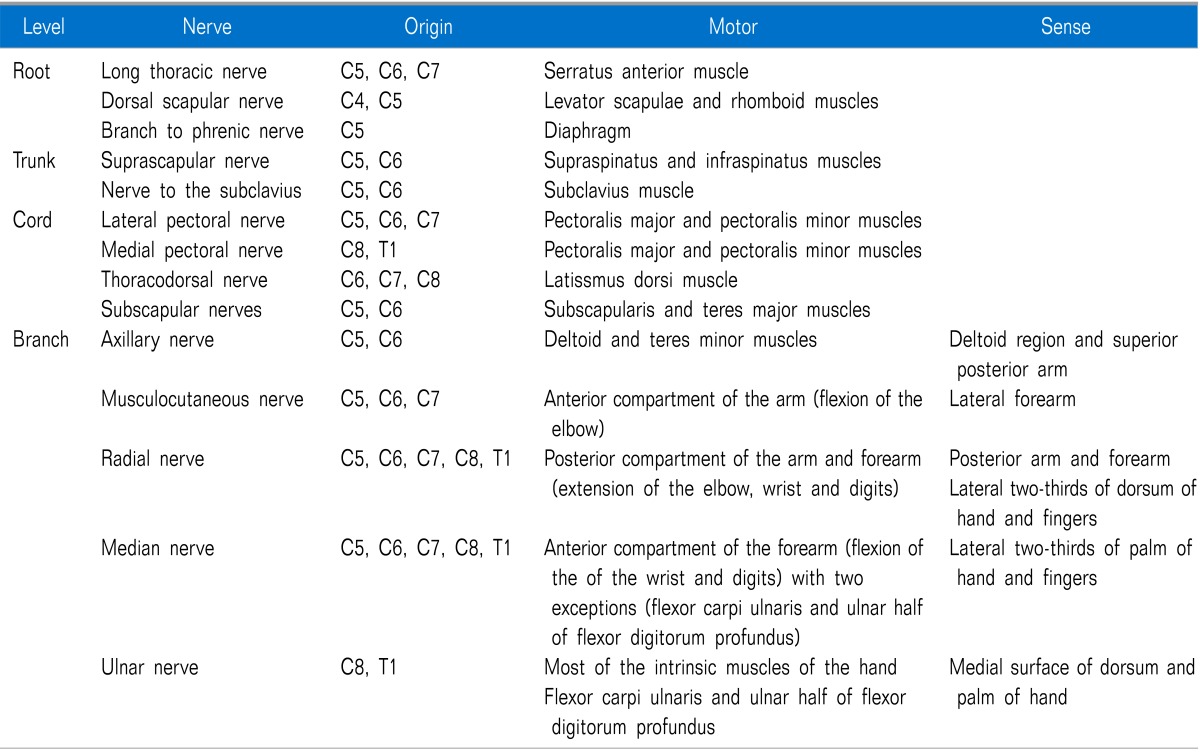 graphic file with name kjpain-27-210-i001.jpg