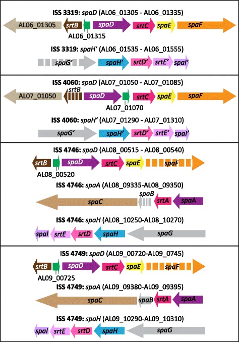 Fig. 2