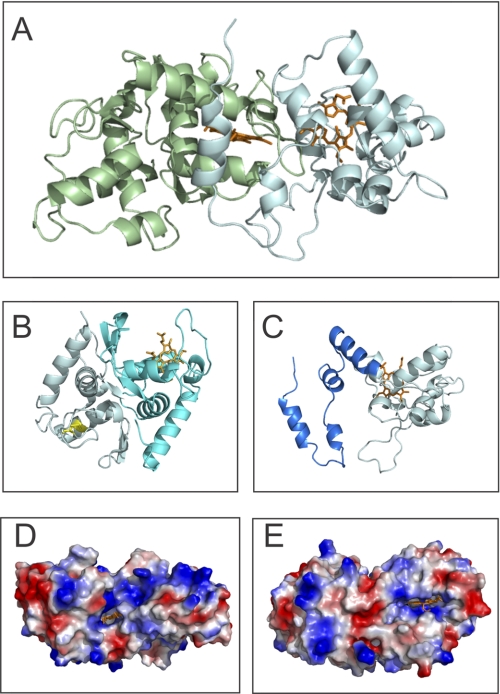 FIGURE 1.