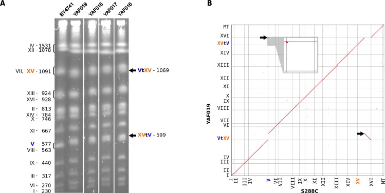 Fig 3