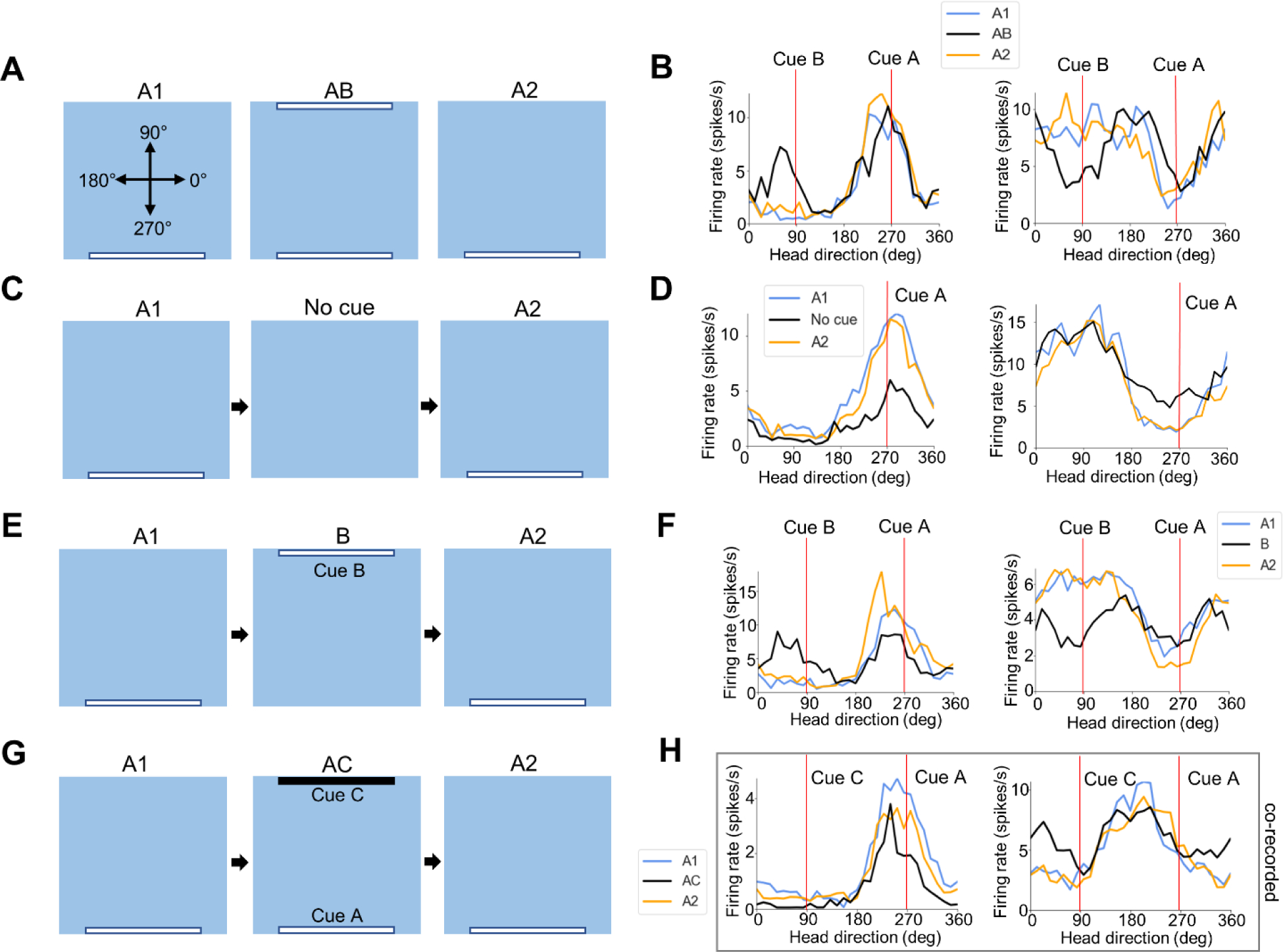 Figure 2 –