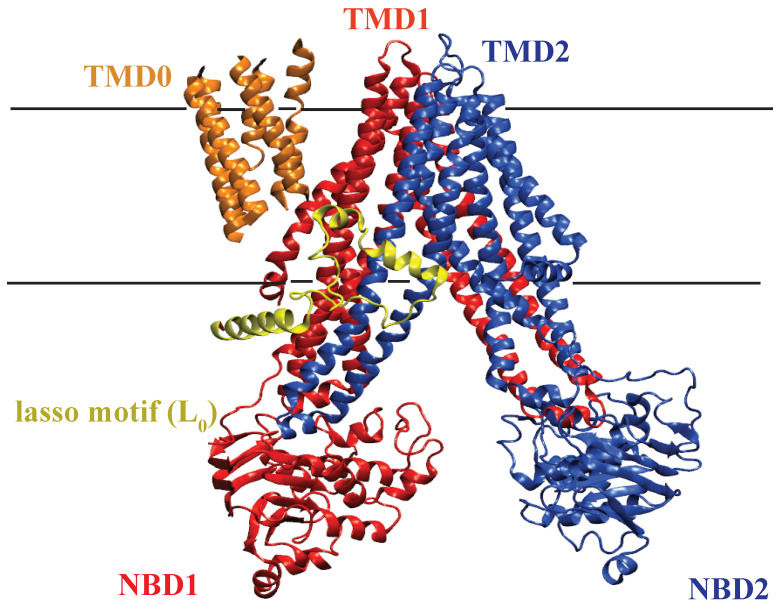 Figure 4