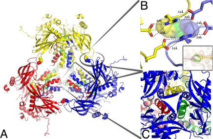 Fig. 3.