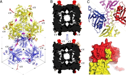 Fig. 4.