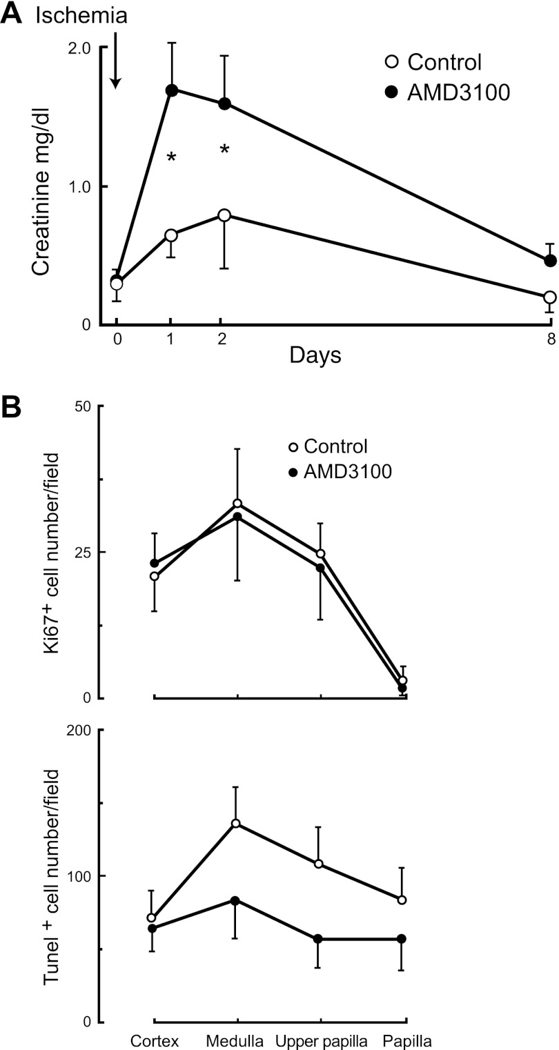 Fig. 9.