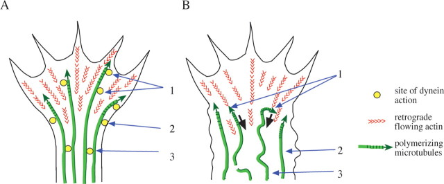 Figure 10.