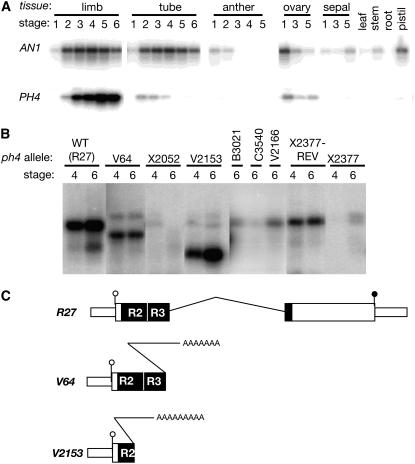 Figure 5.