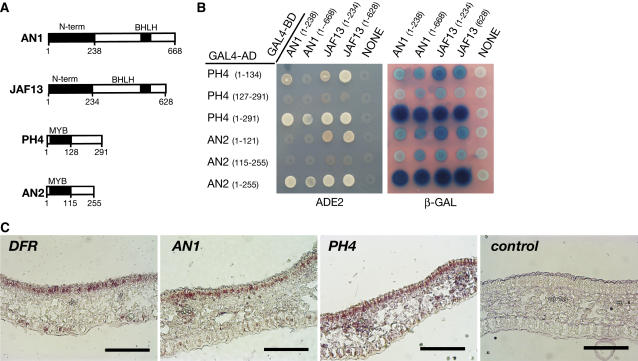 Figure 6.