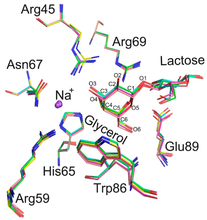 Figure 5