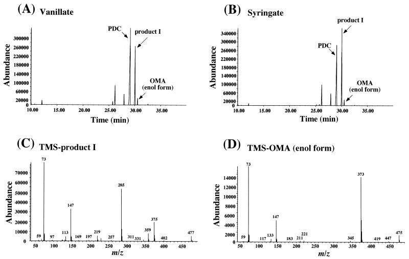 FIG. 6