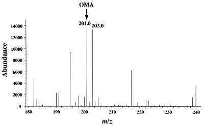 FIG. 7