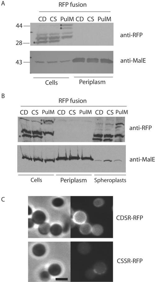 FIG. 4.